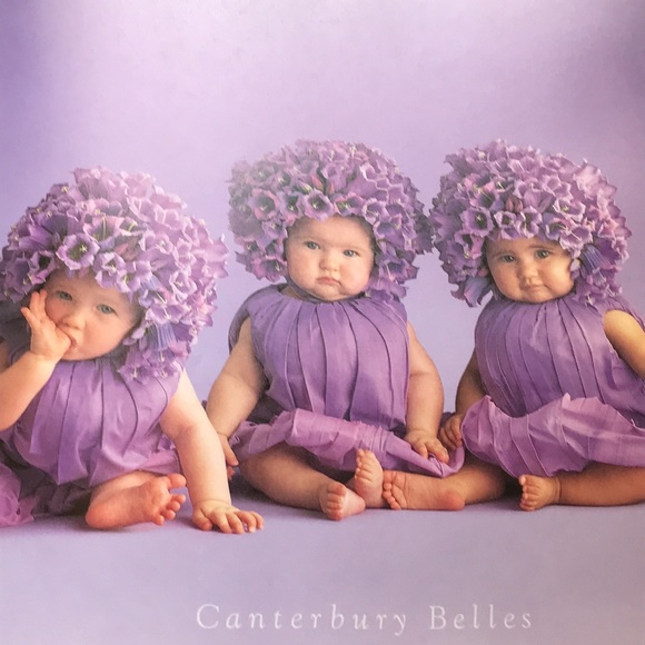 Anne Geddes Down in the Garden hardcover - Picture 5 of 9